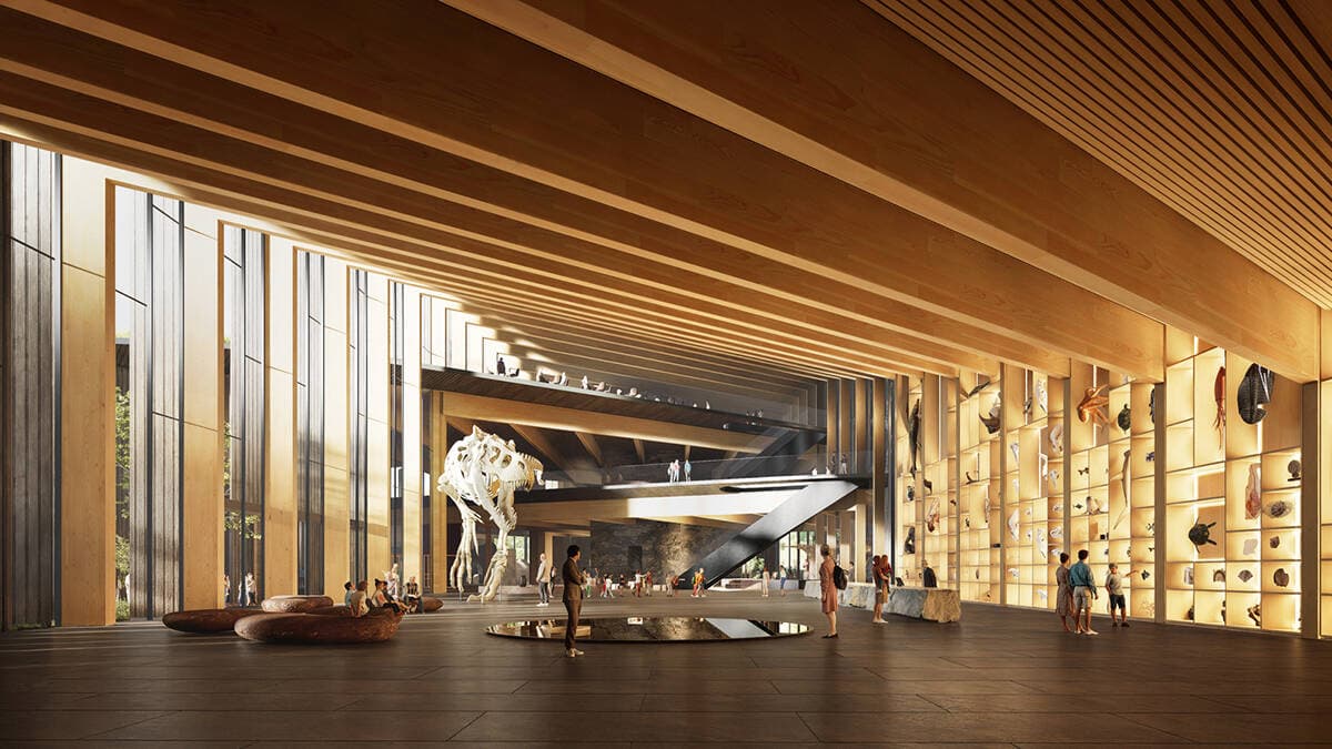 BIG hé lộ thiết kế cấu trúc gỗ cho Bảo tàng Lịch sử Tự nhiên Hungary tại Debrecen